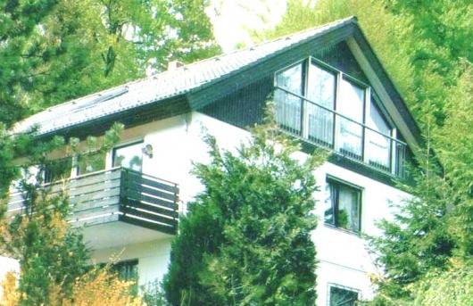 Bild verkleinern